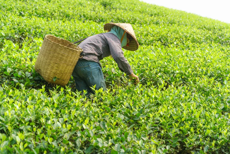 TRABZON-GÜLBAHAR HATUN CAMİİ-ATATÜRK KÖŞKÜ-AYASOFYA– ANTALYA