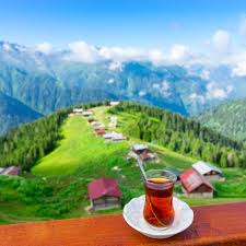 AYDER- UZUNGÖL-ÇAY FABRİKASI-SÜRMENE- AYASOFYA-ATATÜRK KÖŞKÜ- GÜLBAHAR HATUN CAMİİ-ANTALYA